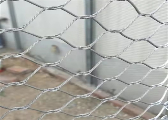 Sight Transparent Aviary Wire Netting Stainless Steel Wire Ferrule Fence