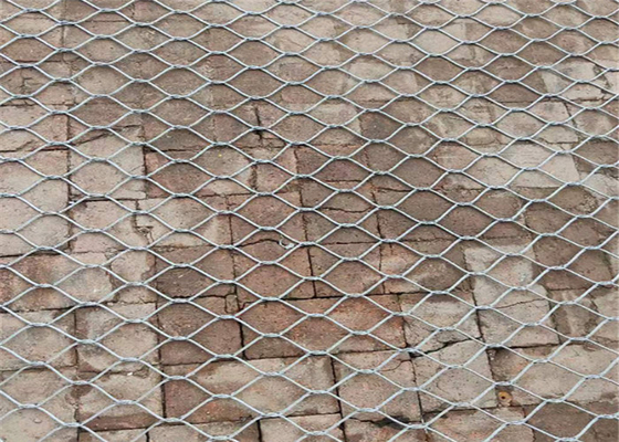 Bird Rain Forest Stainless Steel Zoo Wire Mesh Custom Width