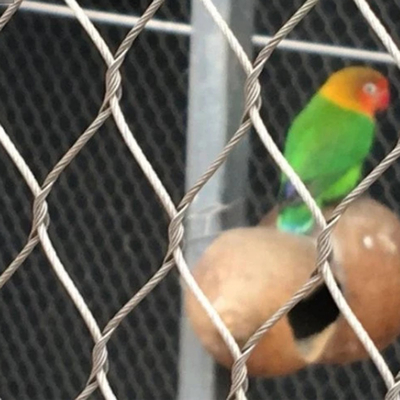 Horizontal Zoo Wire Mesh For Animal Enclosure With 90 Degree Angle