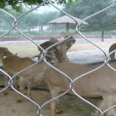 Horizontal Zoo Wire Mesh For Animal Enclosure With 90 Degree Angle