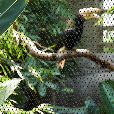 Protected Wild Animal Enclosure Fence Made With Seamless Stainless Steel Mesh