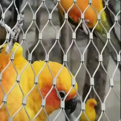Customized 304 316 Knitted Stainless Steel Wire Rope Mesh For Zoo Birds Protect