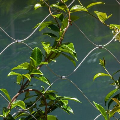 Diamond-Shaped 304 Stainless Steel Chew Resistant Wire Rope Mesh for Animal Cages