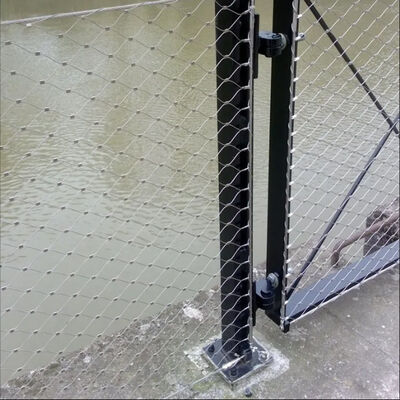 304 Stainless Steel Wire Rope Plant Trellis with Customized Size for Fall Protection
