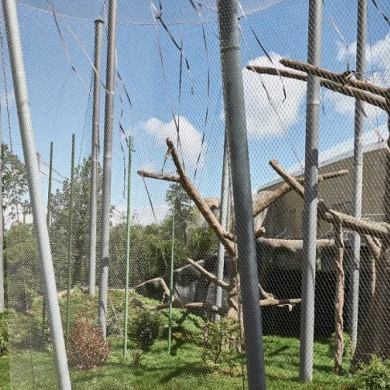 Heavy Duty Zoo Animal Enclosure Wire Mesh Safety Netting In 1.2mm - 4.0mm Cable Dia