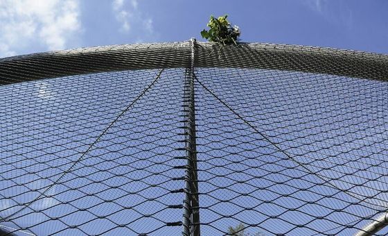 Veiligheidsnet van roestvrij staal van 2,0 mm Draad van 60 x 60 mm