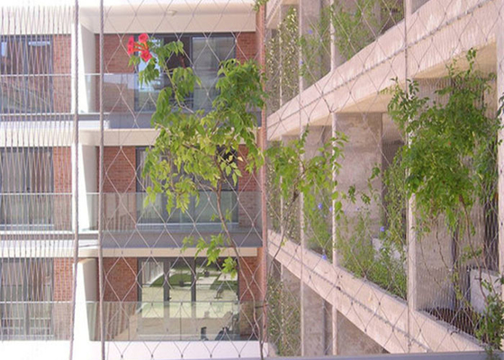 Installatie die Groen de Kabelnetwerk 3.2mm beklimmen van het Muurroestvrije staal