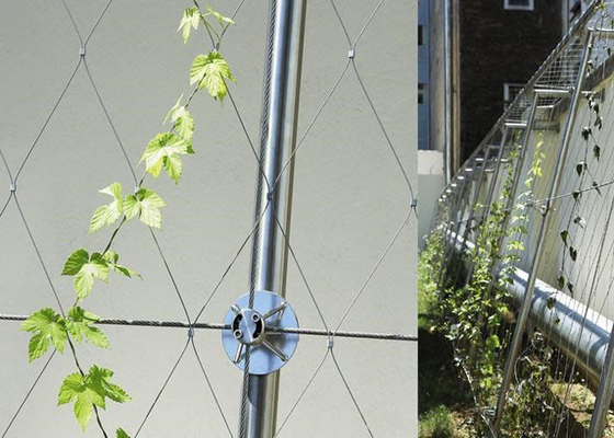 Het architecturale van de de Draadkabel van het Oppervlakteroestvrije staal Opleveren van Mesh Green Plant Climbing Wall