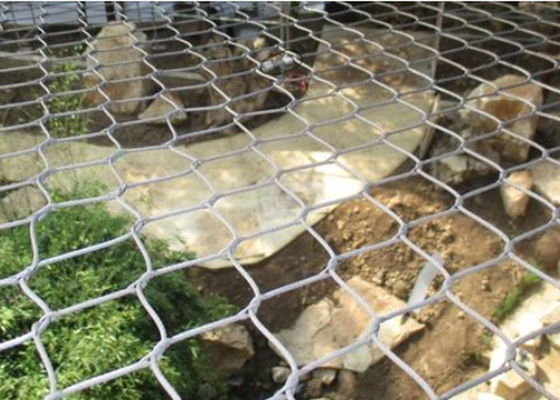 De hoge Draad Mesh Animal Wire Mesh van de Duurzaamheidssus316 Ingesloten Dierentuin