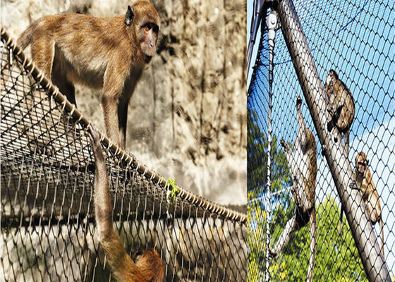 1.5mm van de het Roestvrije staalvogel van de Draaddiameter van het de Keperstofweefsel Opleverende het Kartondoos Verpakking
