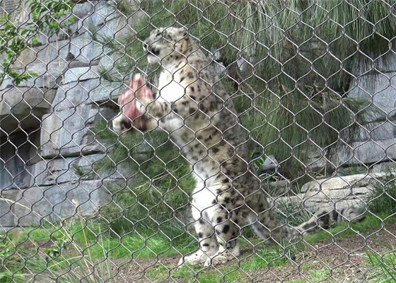 X-Tend Duurzaam roestvrijstalen kabelscherm Voor dierentuin hek Maasconstructie 7 * 7