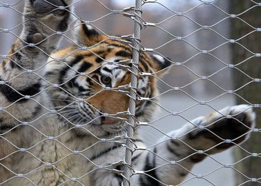 Aap Tiger Zoo 1.2mm 7 X 7 Dierlijk Bijlagenetwerk