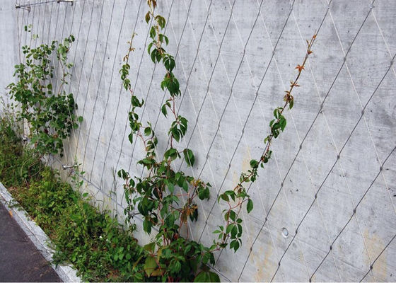 Eco - Ferruled/Geknoopte Anti van het Vriendschappelijke de Muurlatwerk van de Tuindraad - Corrosief Netwerk