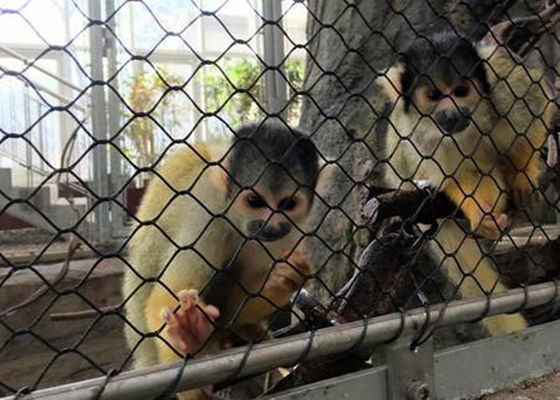 Zwart Oxyde Flexibel SS Netwerk Opleverend Diamant Geweven Type van de Vogelhuiskabel