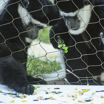 3 mm touwdraad voor dierentuin beschermende kooien tuin veiligheid buitenzag