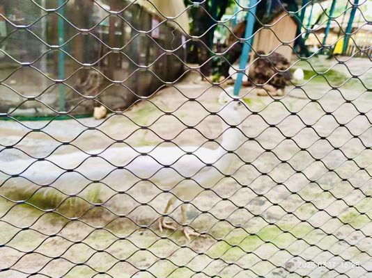 touw dierentuin hekken netten roestvrij staal touw vogel vogelhuis netten
