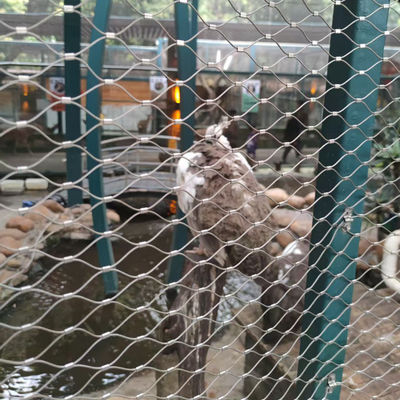 SS304 SS316 roestvrij staal draad touw gaas Zoo veiligheid kabel gaas