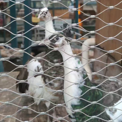 316 Flexibel kabelnet van roestvrij staal voor vogelhuis