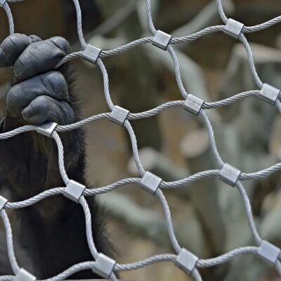 Robuuste roestvrijstalen kabelnetten ontworpen voor veiligheidshindernissen