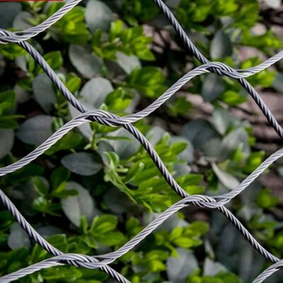 Flexibel roestvrijstalen kabelscherm ontworpen voor veiligheid in architecturale projecten