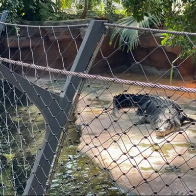 Flexibele roestvrijstalen draadkous X Tend kabelnet voor dierentuin vogelvolière net