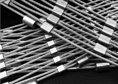 Beklimmend Netto Diamant geef het Netwerk van de 316 Metalen kapkabel gestalte