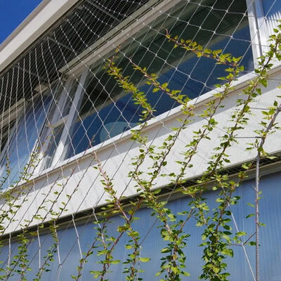 Custom Size Corrosion Resistant Stainless Steel Wire Rope Plant Trellis for Fall Prevention and Vertical Green Walls