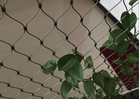 Groene Decoratiemuur 100x100mm het Flexibele Netwerk van de Roestvrij staalkabel