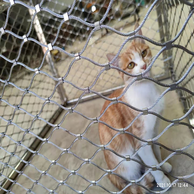 Metaal X neigt de Dierentuinvogelhuis van Vogelvogelhuizen Opleverend 1 X 19