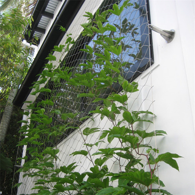 Eco Groene Muur 1.2mm de Kabel van de Roestvrij staaldraad Mesh For Green Facade