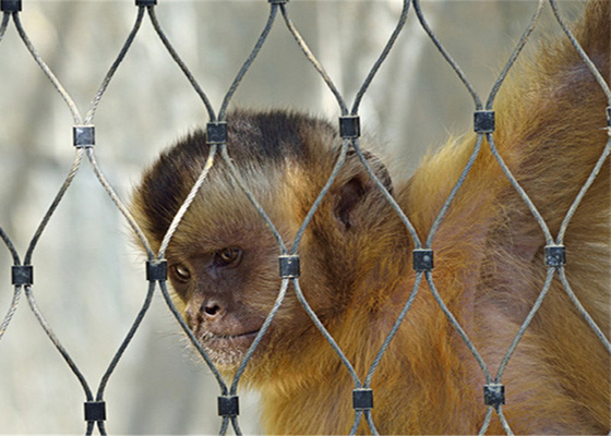 1.5mm Kooien de met hoge weerstand van Mesh For Aviary Zoo Bird van de Draadkabel