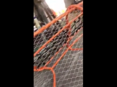 omheining met draadtouw