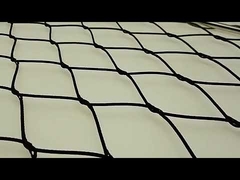 Gebeëindigde zwarte