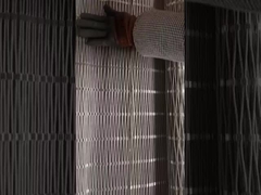 dierentuin draadnet 2