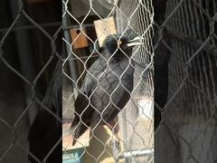 Duurzame Zachte Ferrule Type Flexibel Metaal Sterk Roestvrij Staal geknoopt Touwnet