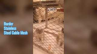 Rand roestvrij stalen kabelgaas