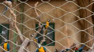 Hoe ziet een geweven roestvrijstalen kabelgaas eruit